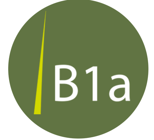 agenturB1a